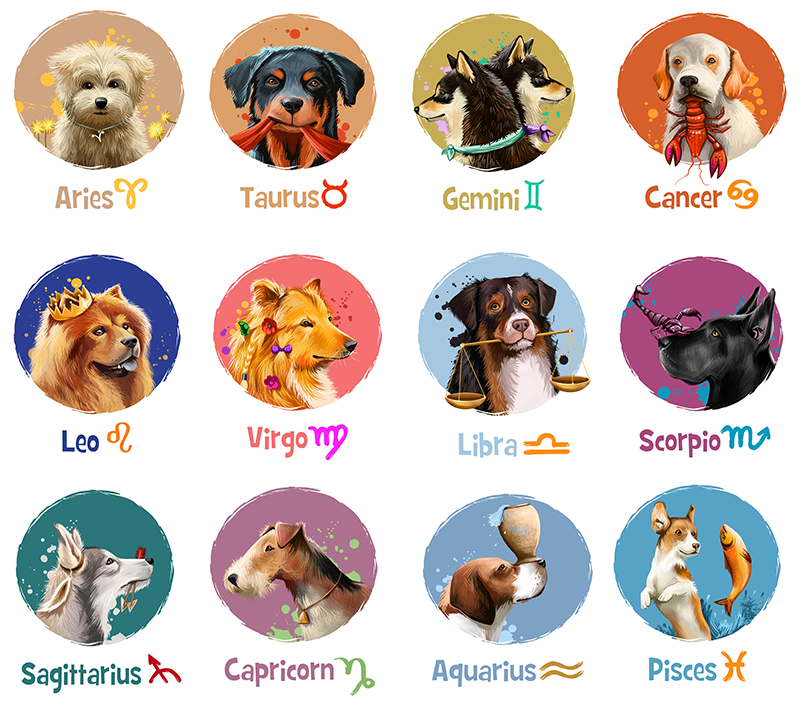 Quelle est la meilleure race de chien pour votre signe astrologique